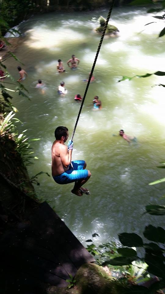 Name:  YS Falls Swing.jpg
Views: 699
Size:  60.2 KB