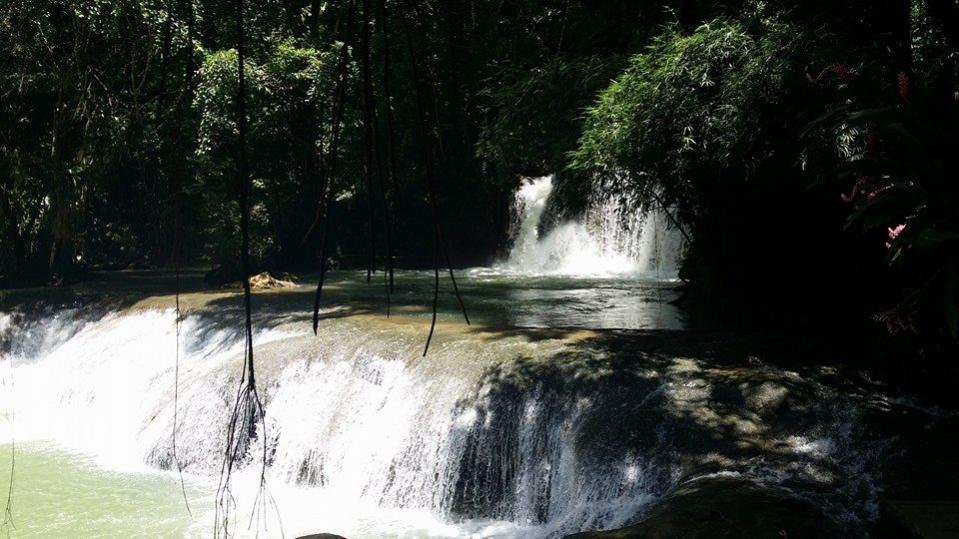 Name:  YS Falls.jpg
Views: 711
Size:  87.7 KB