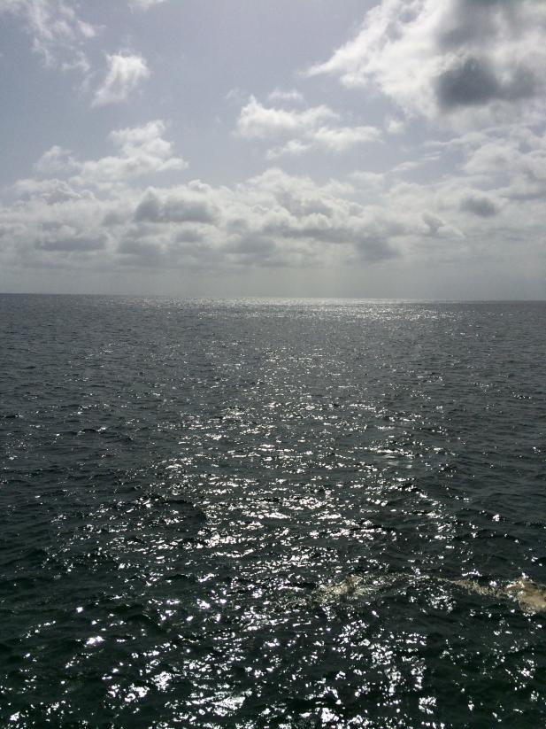 Name:  209.jpg
Views: 599
Size:  97.2 KB