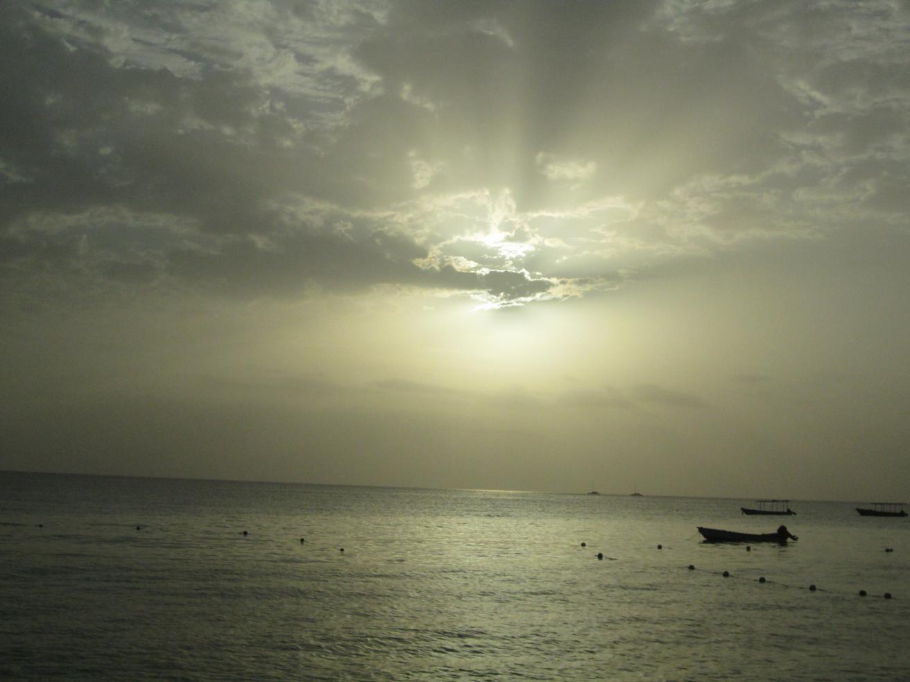 Name:  IMG_1313.jpg
Views: 514
Size:  89.0 KB