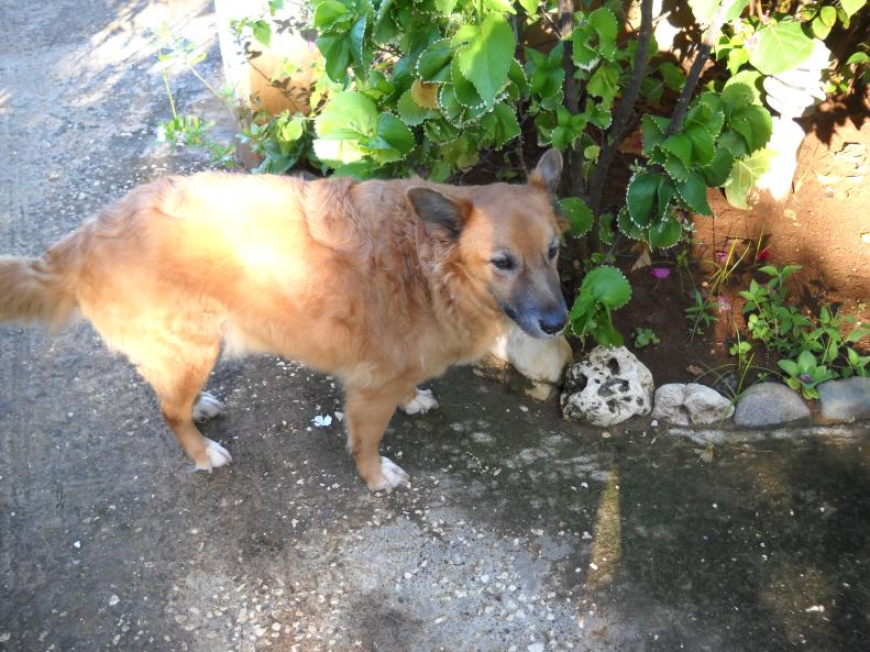 Name:  DSCN0745.jpg
Views: 847
Size:  98.4 KB