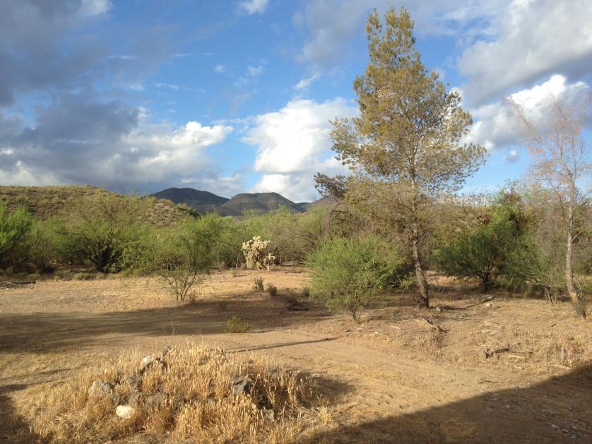 Name:  Backyard AZ.jpg
Views: 1065
Size:  96.9 KB