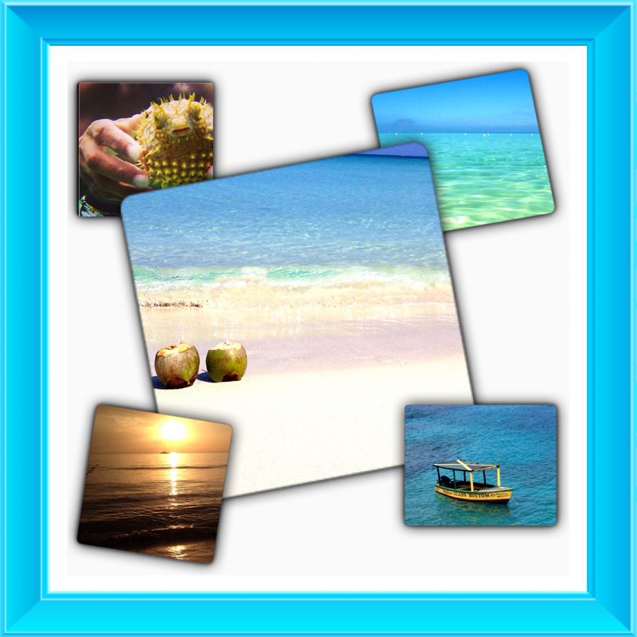 Name:  image.jpg
Views: 523
Size:  86.0 KB