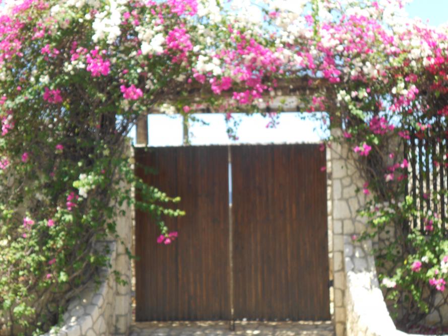 Name:  DSCN0619.jpg
Views: 492
Size:  94.0 KB