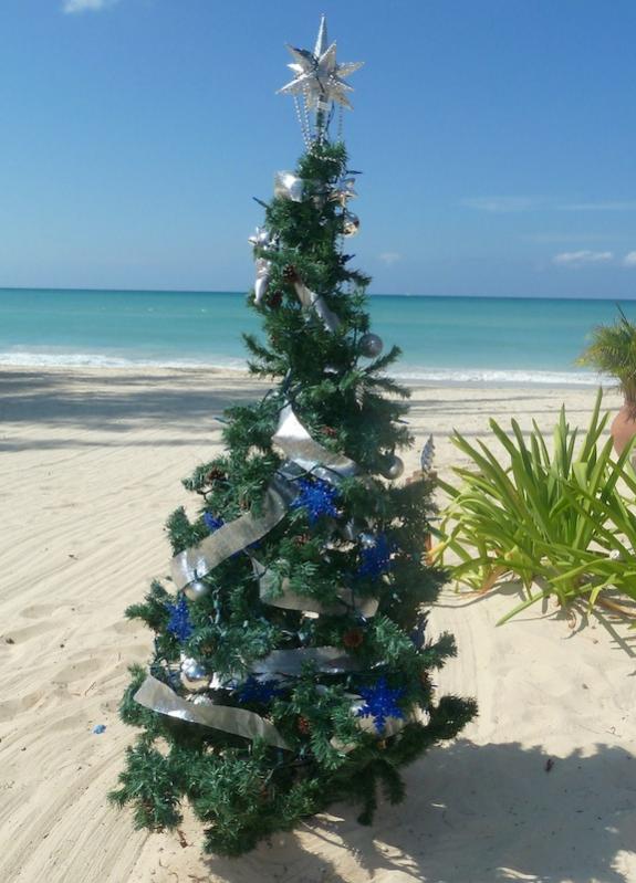 Name:  Christmes Tree on Beach.jpg
Views: 310
Size:  64.2 KB