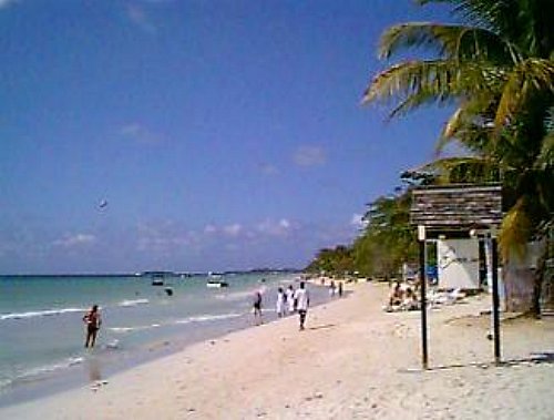 Name:  nn280398.jpg
Views: 585
Size:  34.6 KB