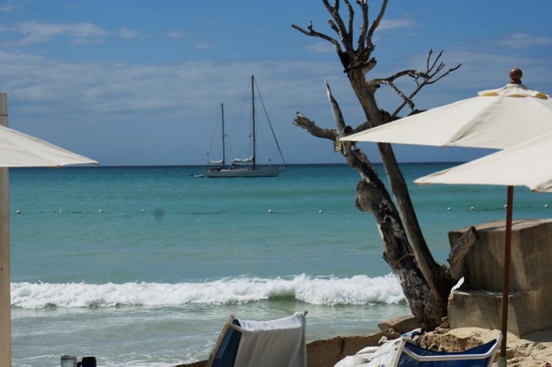Name:  Jamaica 2013 1.jpg
Views: 1511
Size:  46.6 KB