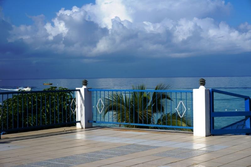Name:  Jamaica 2013 view2.jpg
Views: 1481
Size:  49.8 KB