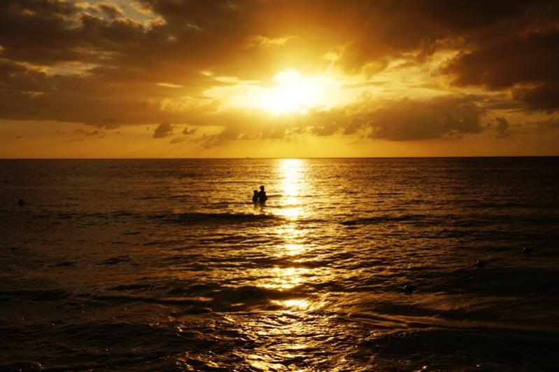 Name:  Jamaica 2013 Evening Swim.jpg
Views: 1396
Size:  56.6 KB