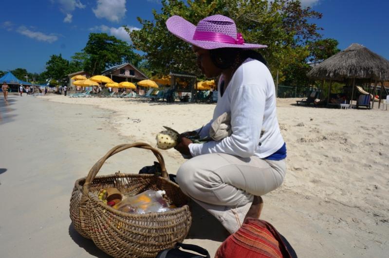 Name:  Jamaica 2013 Fruit Lady2.jpg
Views: 1264
Size:  68.2 KB