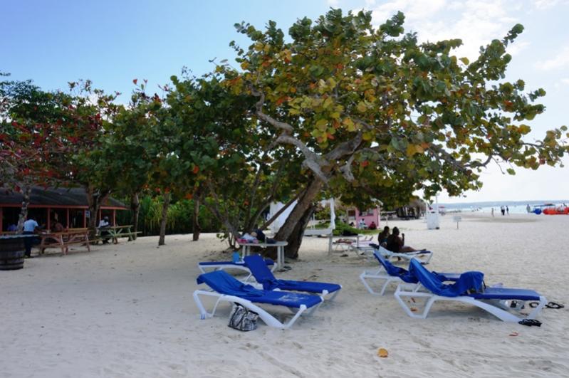 Name:  Jamaica 2013 Cosmo Beach.jpg
Views: 1401
Size:  74.3 KB