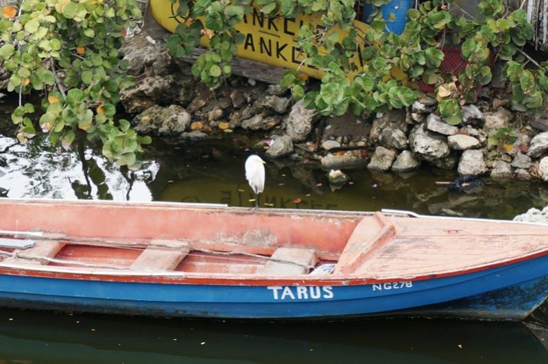 Name:  Jamaica 2013 Boat.jpg
Views: 1391
Size:  78.7 KB