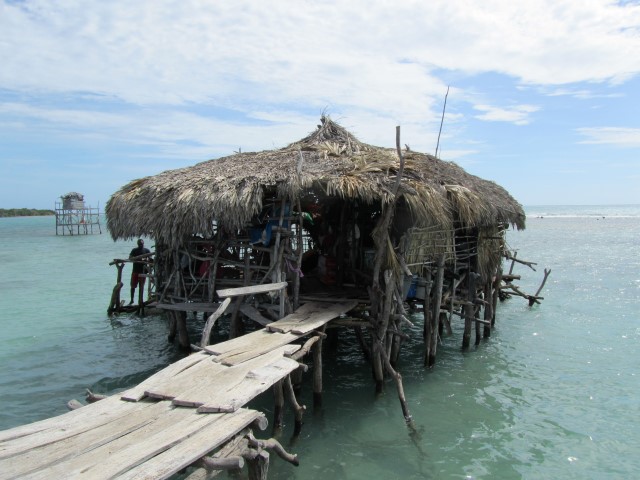 Name:  IMG_1103 (Small).JPG
Views: 1057
Size:  87.3 KB