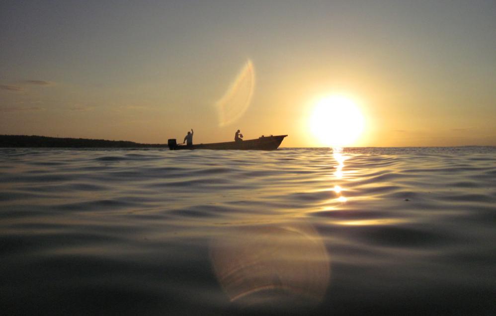 Name:  Jamaica 2014-0137-2.jpg
Views: 944
Size:  41.9 KB