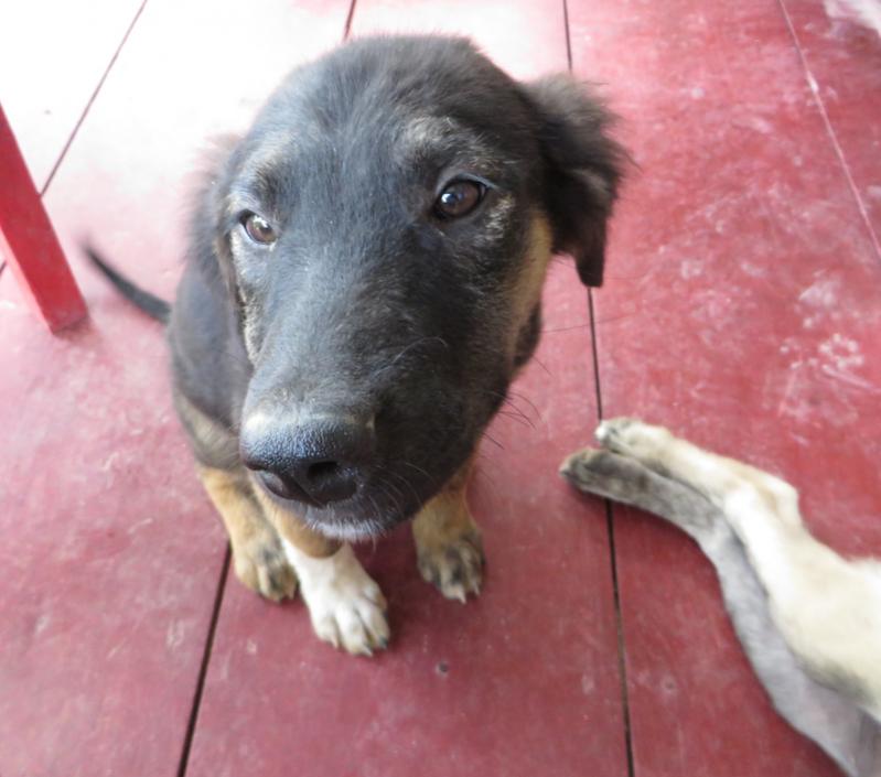 Name:  Jamaica 2014-0325.jpg
Views: 1052
Size:  54.3 KB