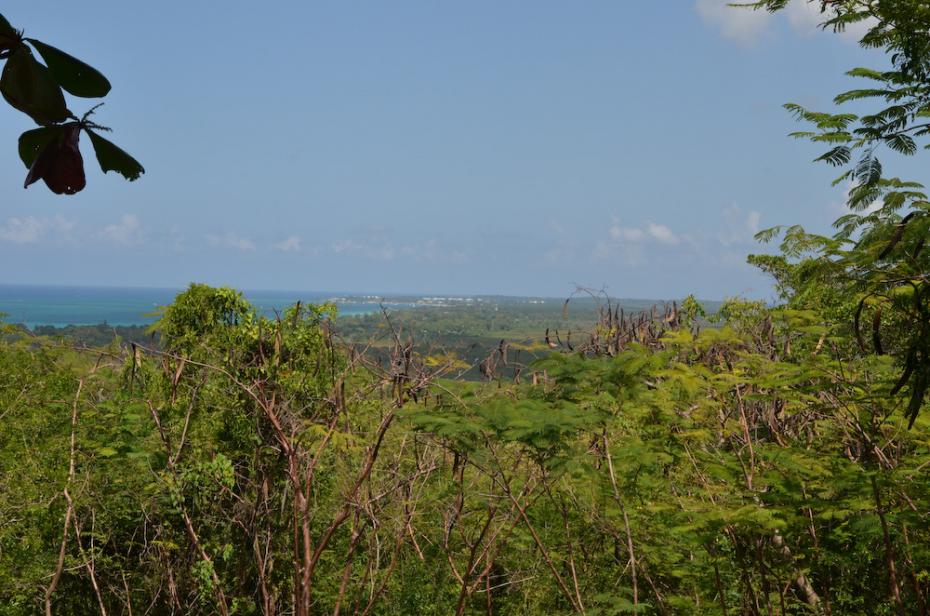 Name:  Jamaica 2014-1417.jpg
Views: 948
Size:  98.0 KB