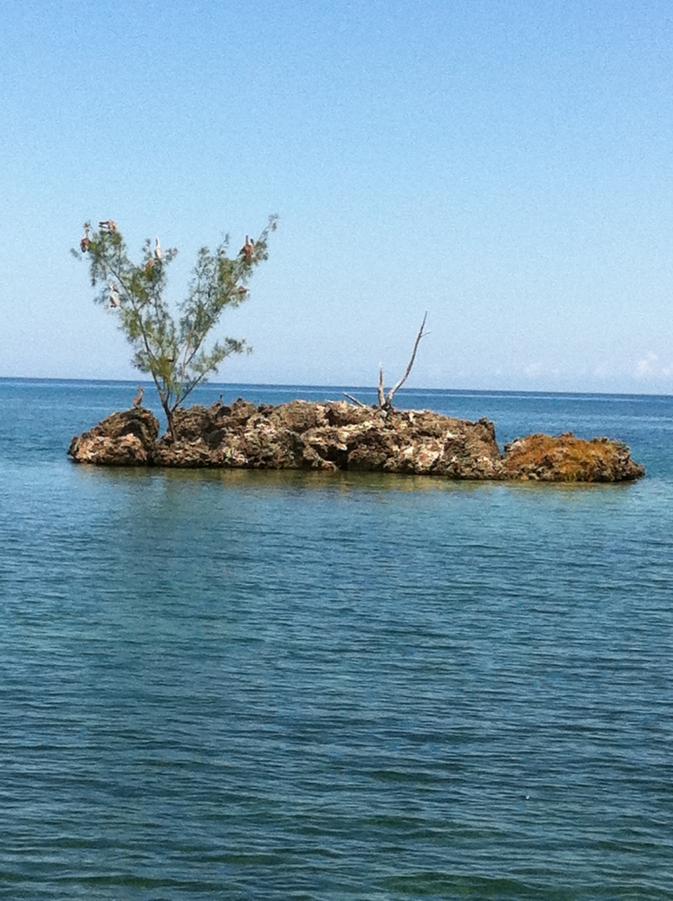 Name:  IMG_0149.jpg
Views: 1058
Size:  96.1 KB