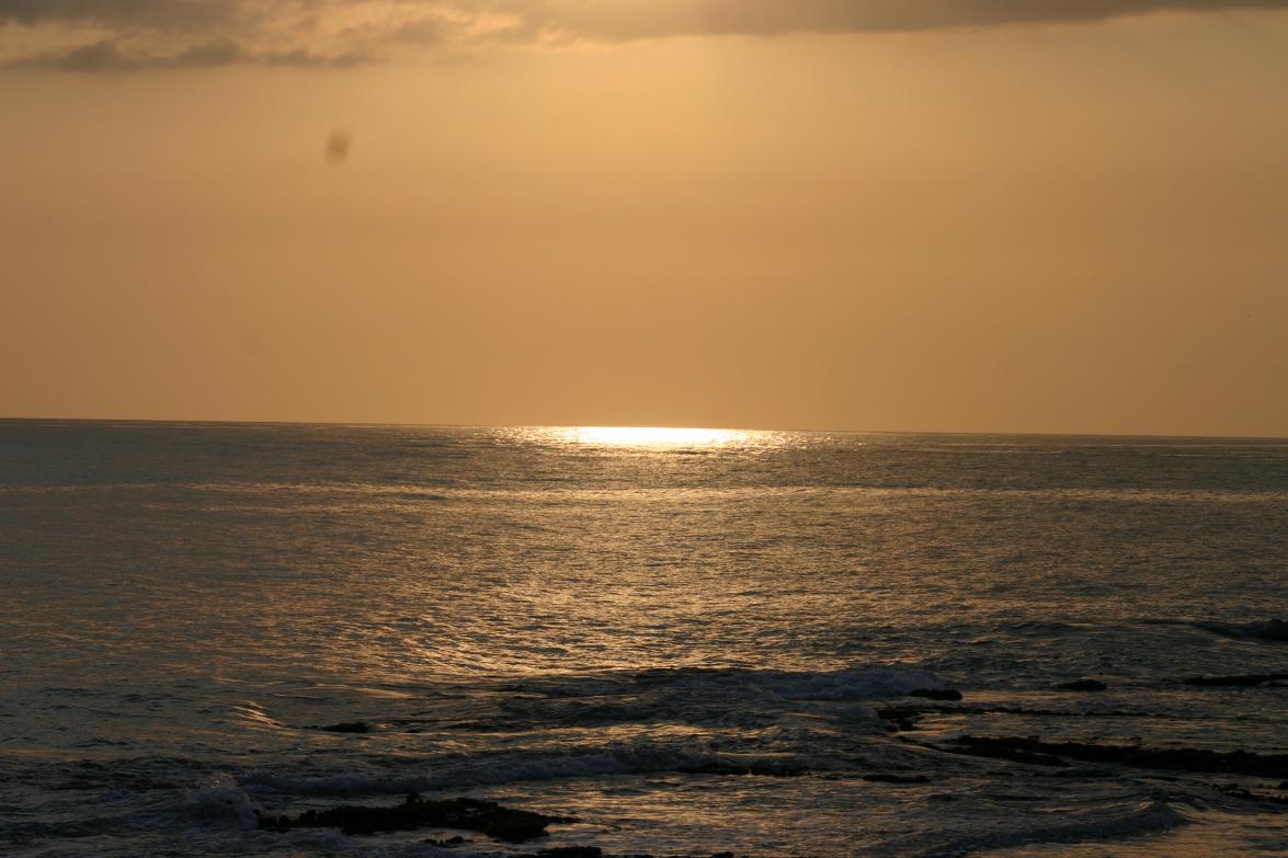Name:  IMG_3155.jpg
Views: 877
Size:  95.1 KB