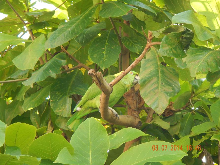 Name:  DSCN0159.jpg
Views: 932
Size:  94.3 KB