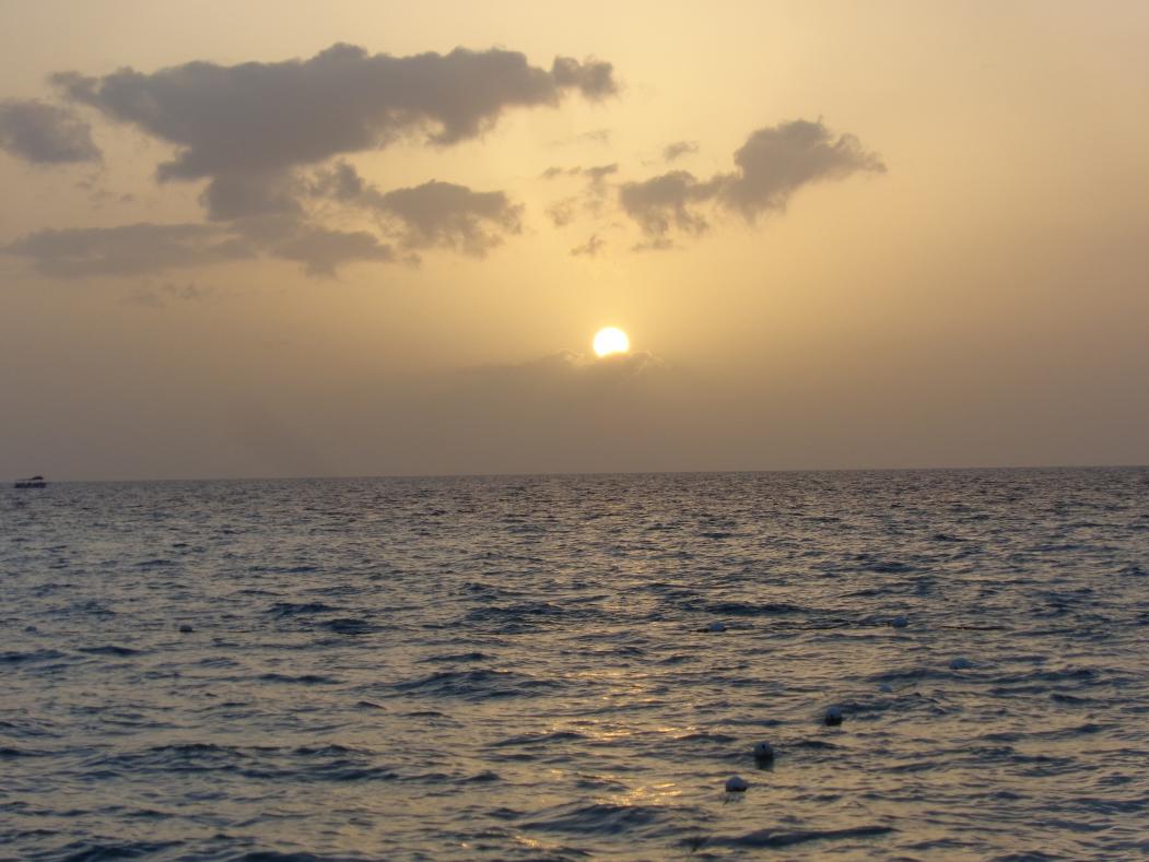 Name:  DSC00250.jpg
Views: 457
Size:  91.2 KB