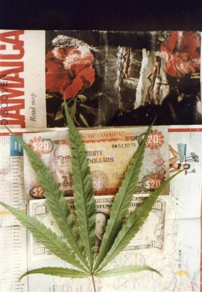 Name:  Map Of Jamaica.JPG
Views: 803
Size:  44.4 KB
