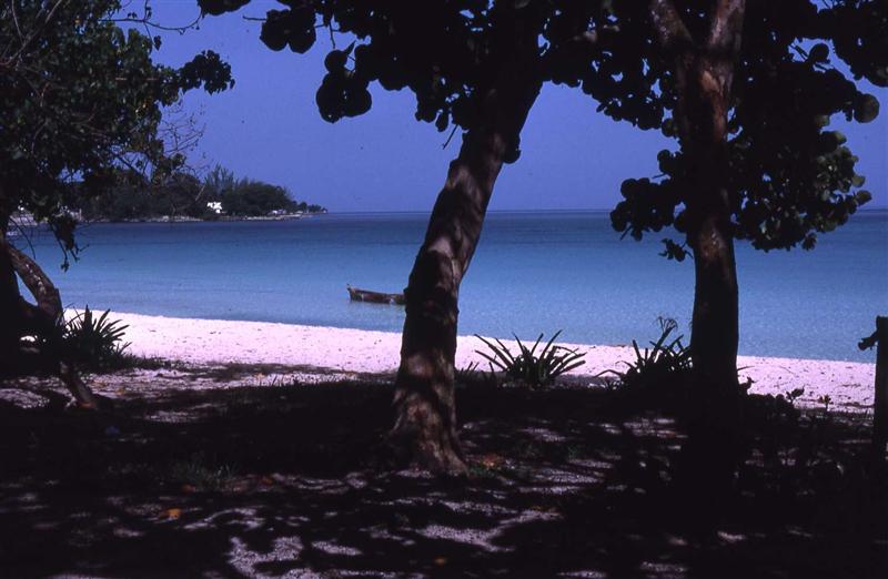Name:  Negril Beach 1980's.JPG
Views: 837
Size:  54.5 KB