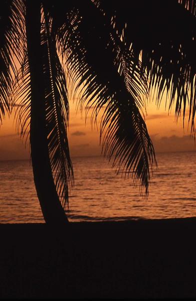 Name:  Sunset.JPG
Views: 395
Size:  43.8 KB