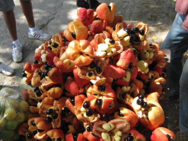 Name:  image.jpg
Views: 563
Size:  56.7 KB