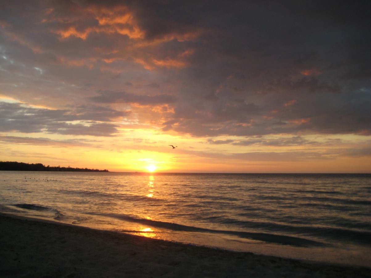 Name:  2011 Negril 261.jpg
Views: 462
Size:  83.8 KB