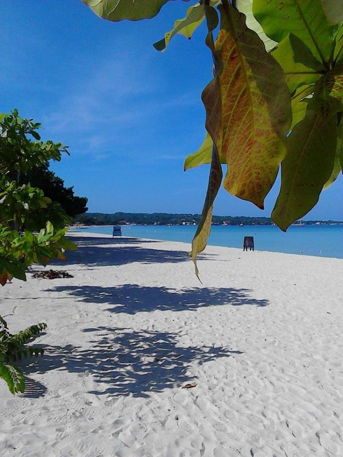 Name:  Beautiful beaches.jpg
Views: 177
Size:  94.5 KB
