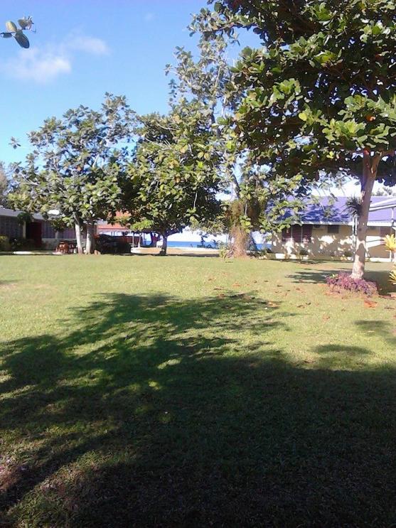 Name:  beach view from picnic table.jpg
Views: 213
Size:  99.3 KB