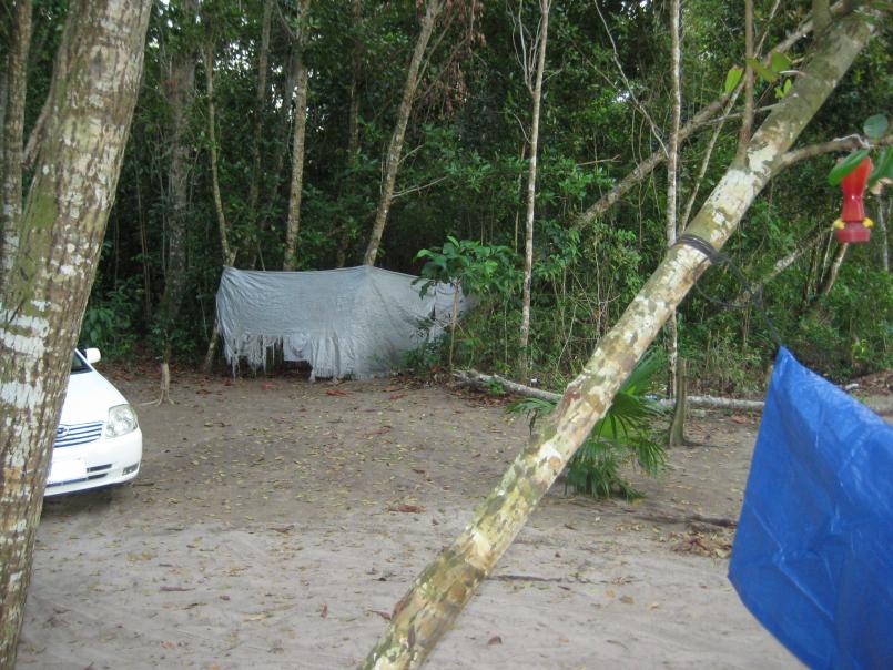 Name:  2011 Negril 188.jpg
Views: 418
Size:  98.0 KB