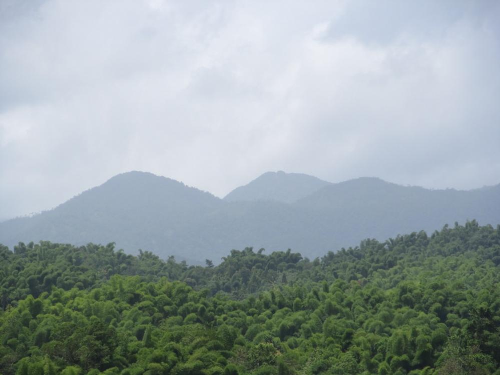 Name:  ls1.jpg
Views: 990
Size:  58.6 KB