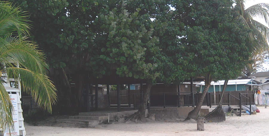 Name:  shereta1.jpg
Views: 427
Size:  78.1 KB