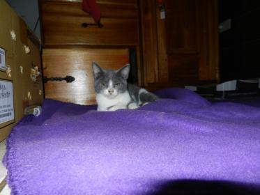 Name:  DSCN9856.jpg
Views: 252
Size:  13.8 KB