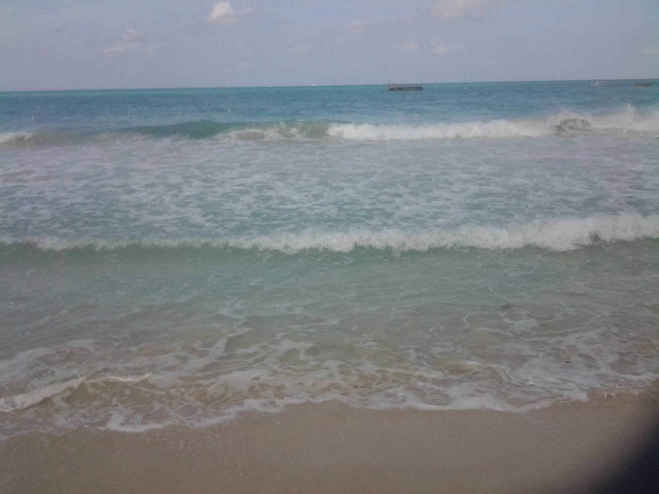 Name:  20141211_103104.jpg
Views: 578
Size:  84.3 KB