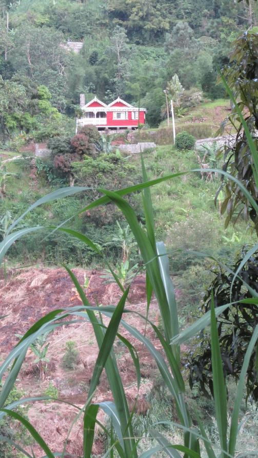 Name:  Valley.jpg
Views: 591
Size:  103.4 KB