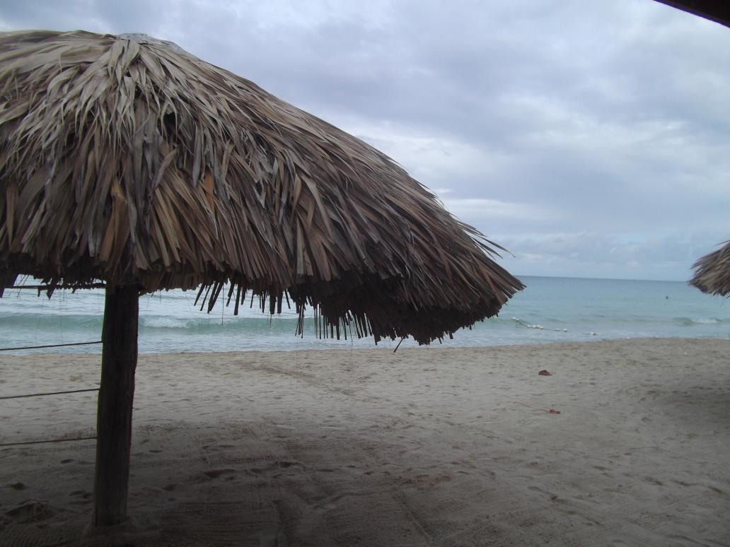 Name:  spanksgiving 2014 in negril 1196.jpg
Views: 486
Size:  91.6 KB