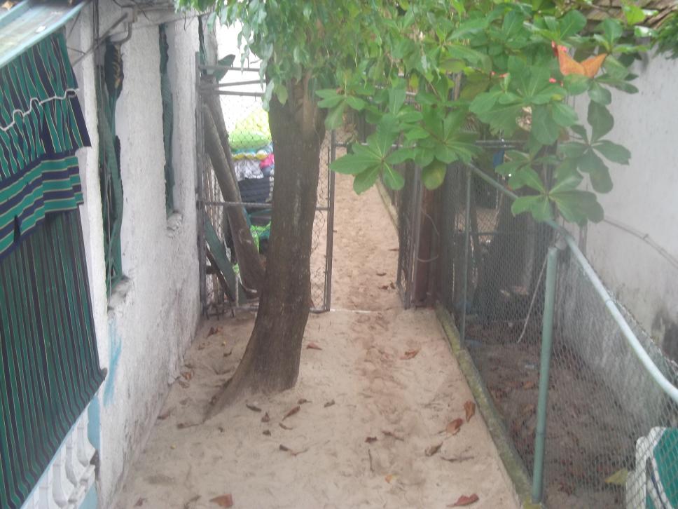 Name:  spanksgiving 2014 in negril 1207.jpg
Views: 631
Size:  91.7 KB