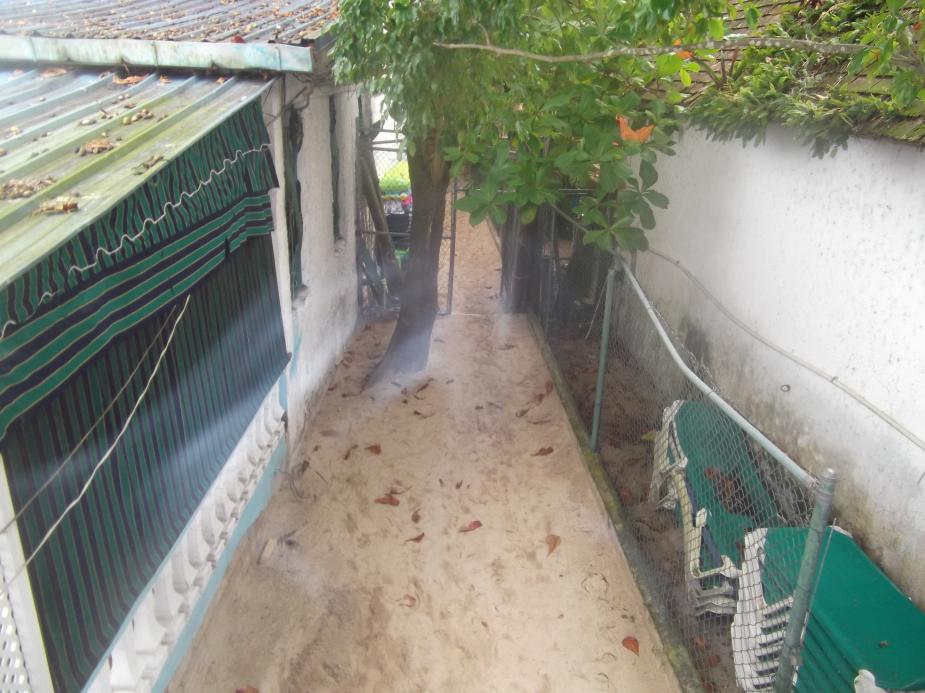 Name:  spanksgiving 2014 in negril 1208.jpg
Views: 640
Size:  93.6 KB