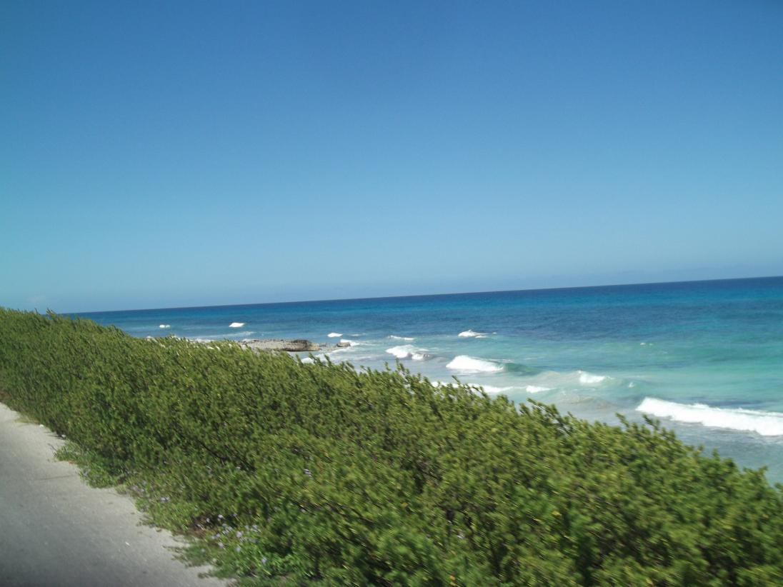 Name:  spanksgiving 2014 in negril 122.jpg
Views: 717
Size:  91.4 KB