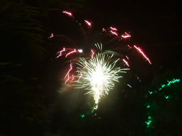 Name:  DSCF2976.jpg
Views: 421
Size:  47.5 KB