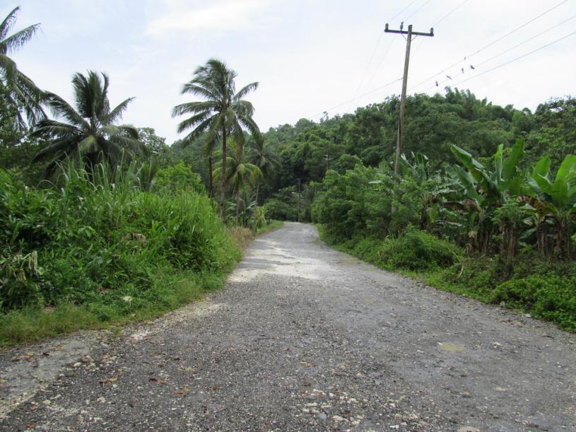 Name:  road2.jpg
Views: 979
Size:  97.1 KB