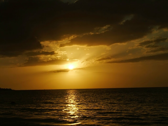 Name:  DSCF2983.jpg
Views: 239
Size:  54.5 KB