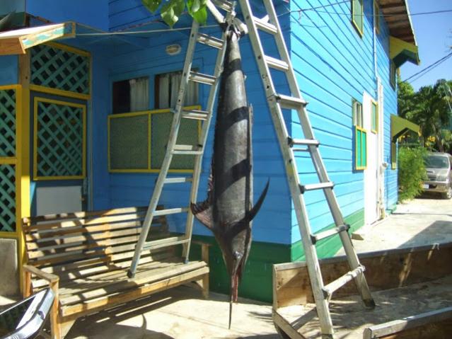 Name:  DSCF3005.jpg
Views: 747
Size:  58.8 KB