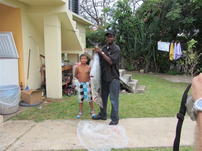 Name:  Big Kingfish.jpg
Views: 511
Size:  81.2 KB