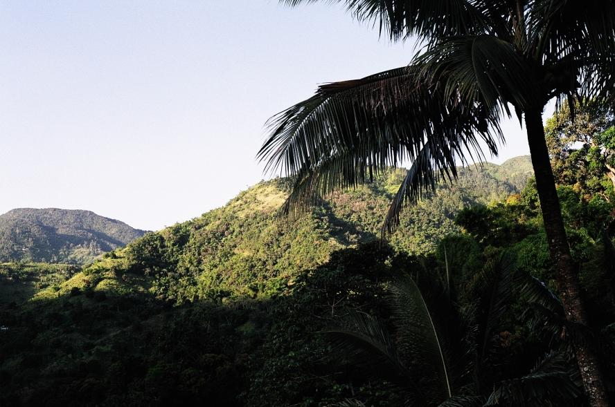 Name:  Sonny's View.jpg
Views: 976
Size:  97.9 KB