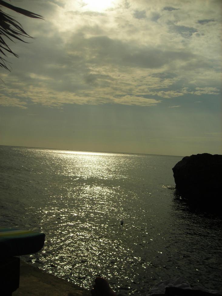 Name:  DSCN2791.jpg
Views: 1038
Size:  93.4 KB