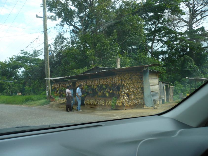 Name:  Country Road Fruit Stand.jpg
Views: 1214
Size:  97.1 KB
