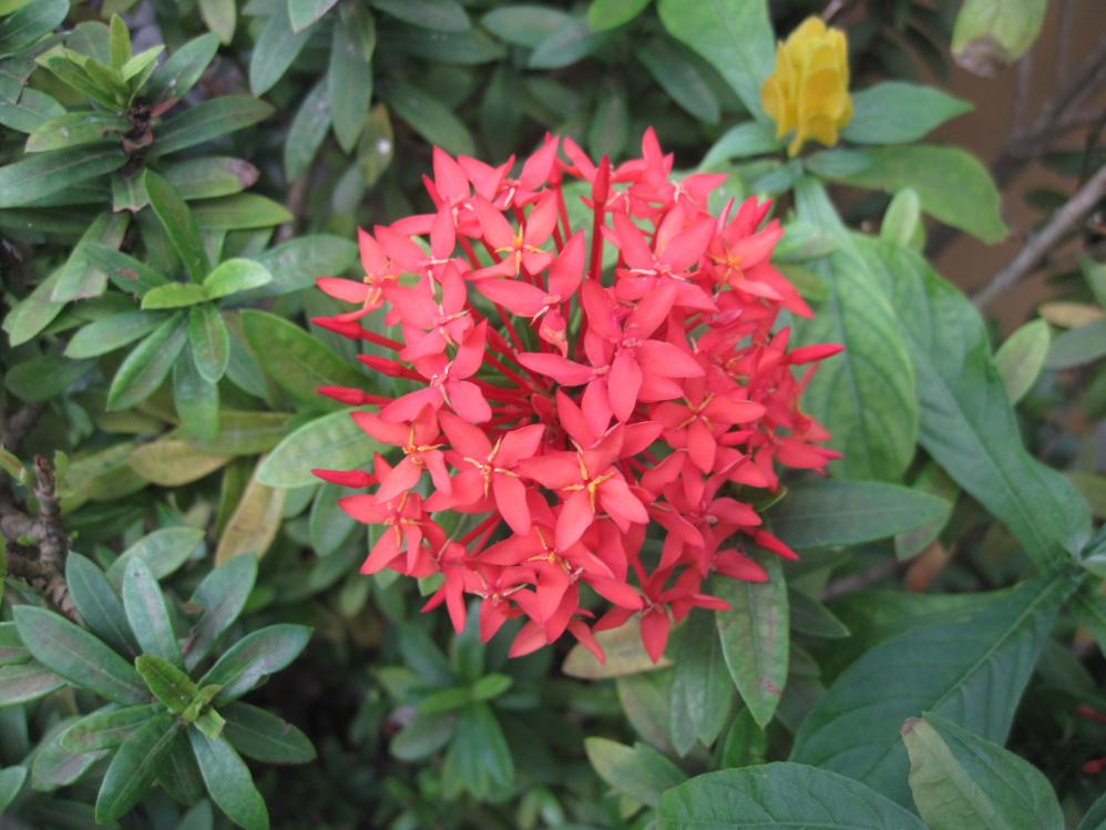 Name:  IMG_2903.jpg
Views: 560
Size:  87.1 KB